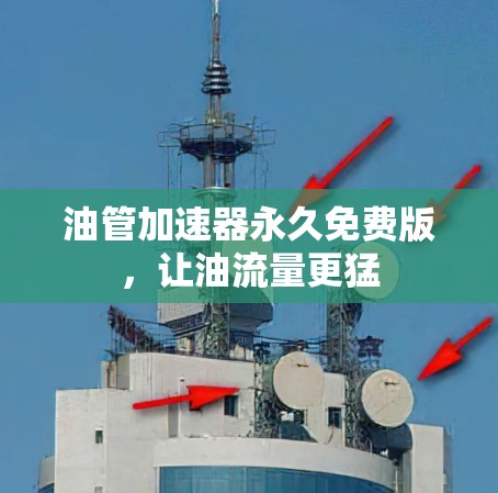油管加速器永久免费版,让油流量更猛 油管加速器永久免费版,让油流量更猛