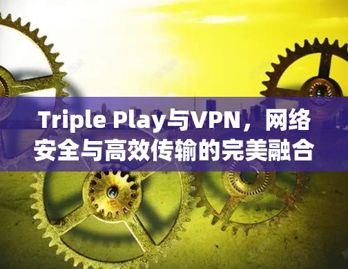 Triple Play与VPN,网络安全与高效传输的完美融合 Triple Play与VPN,网络安全与高效传输的完美融合