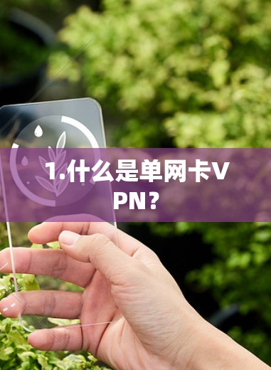 1.什么是单网卡VPN? 1.什么是单网卡VPN?