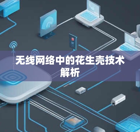 无线网络中的花生壳技术解析 无线网络中的花生壳技术解析