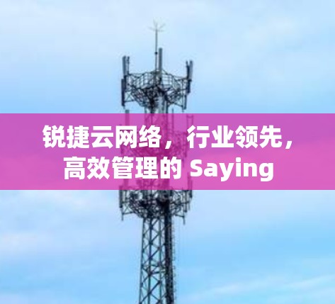 锐捷云网络,行业领先,高效管理的 Saying 锐捷云网络,行业领先,高效管理的 Saying