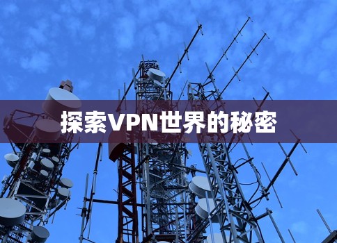 探索VPN世界的秘密 探索VPN世界的秘密