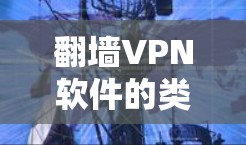 翻墙VPN软件的类型 翻墙VPN软件的类型