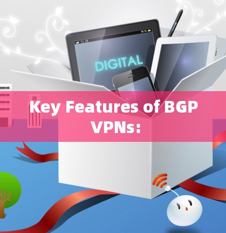 Key Features of BGP VPNs: