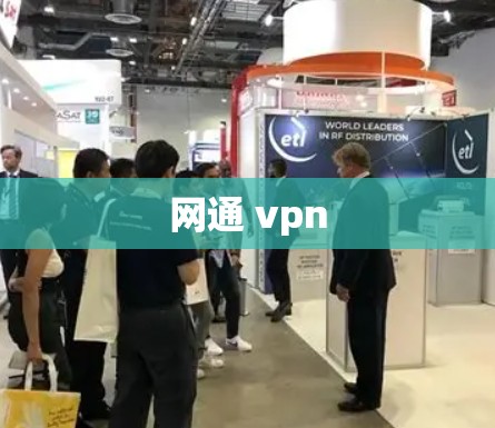 网通 vpn