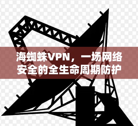 海蜘蛛VPN,一场网络安全的全生命周期防护 海蜘蛛VPN,一场网络安全的全生命周期防护