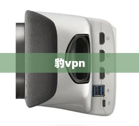 豹vpn 豹vpn