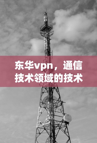 东华vpn，通信技术领域的技术领先者