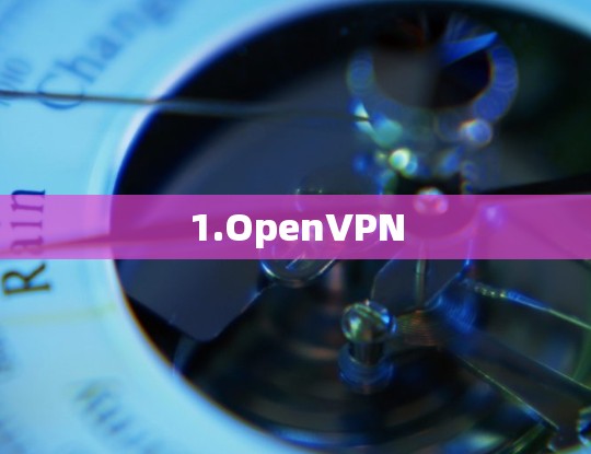 1.OpenVPN