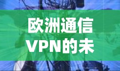 欧洲通信VPN的未来,技术突破与应用潜力 欧洲通信VPN的未来,技术突破与应用潜力