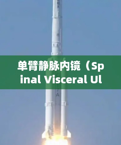 单臂静脉内镜(Spinal Visceral Ultrasound,SVUS)技术与应用的探讨 单臂静脉内镜(Spinal Visceral Ultrasound,SVUS)技术与应用的探讨
