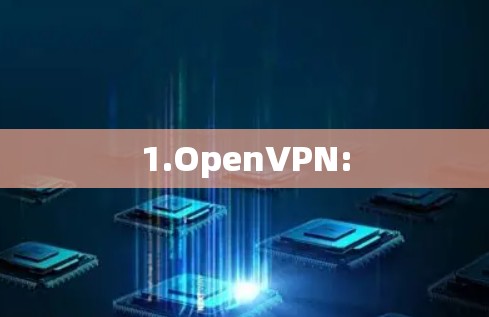 1.OpenVPN: 1.OpenVPN: