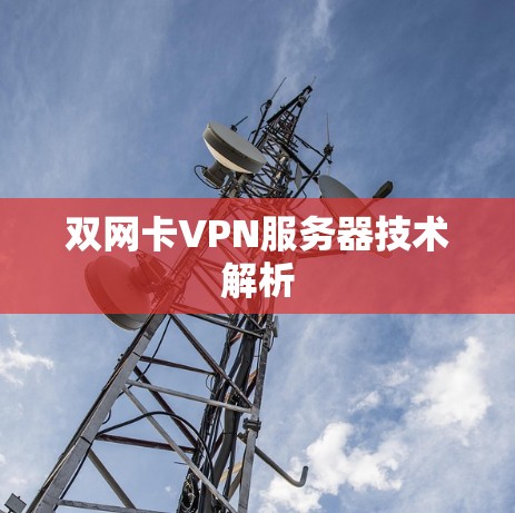 双网卡VPN服务器技术解析