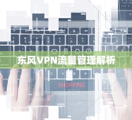 东风VPN流量管理解析 东风VPN流量管理解析