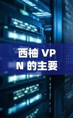 西柚 VPN 的主要特点包括