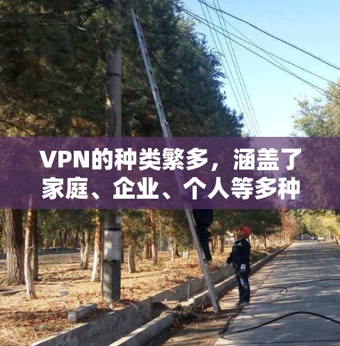 VPN的种类繁多,涵盖了家庭、企业、个人等多种需求,具体种类包括以下几种 VPN的种类繁多,涵盖了家庭、企业、个人等多种需求,具体种类包括以下几种