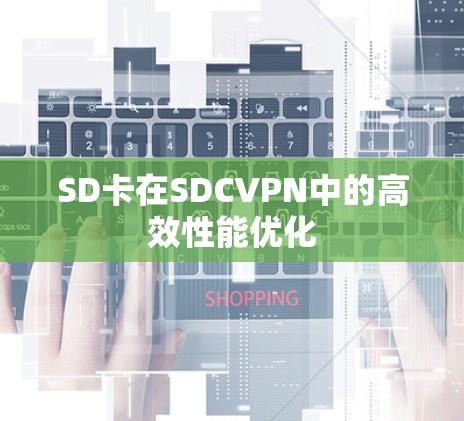 SD卡在SDCVPN中的高效性能优化