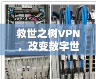 救世之树VPN,改变数字世界的方式 救世之树VPN,改变数字世界的方式