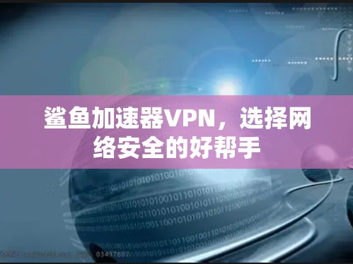 鲨鱼加速器VPN,选择网络安全的好帮手 鲨鱼加速器VPN,选择网络安全的好帮手