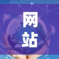 网站到站的VPN，保障网络安全的可靠解决方案