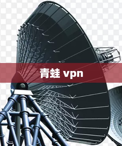青蛙 vpn 青蛙 vpn