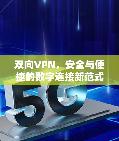 双向VPN，安全与便捷的数字连接新范式