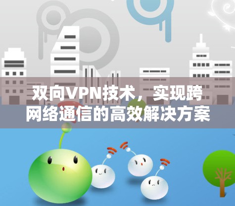 双向VPN技术，实现跨网络通信的高效解决方案