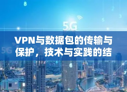 VPN与数据包的传输与保护,技术与实践的结合 VPN与数据包的传输与保护,技术与实践的结合