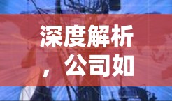 深度解析，公司如何高效搭建VPN，保障内部通信顺畅