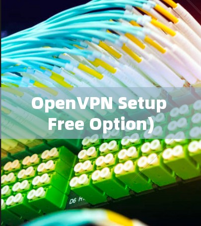 OpenVPN Setup Free Option) OpenVPN Setup Free Option)