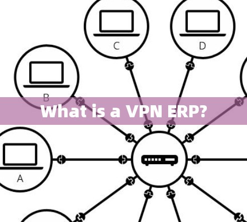 What is a VPN ERP? What is a VPN ERP?