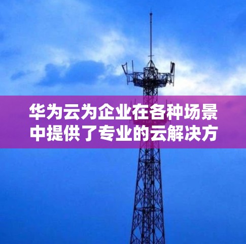 华为云为企业在各种场景中提供了专业的云解决方案,包括企业级云安全站安、虚拟网络和弹性云服务。以下是对这些解决方案的详细说明 华为云为企业在各种场景中提供了专业的云解决方案,包括企业级云安全站安、虚拟网络和弹性云服务。以下是对这些解决方案的详细说明