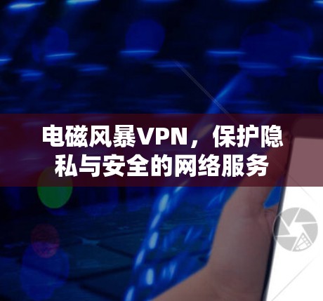 电磁风暴VPN，保护隐私与安全的网络服务
