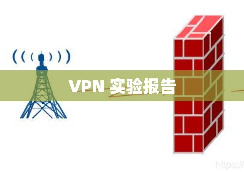 VPN 实验报告 VPN 实验报告