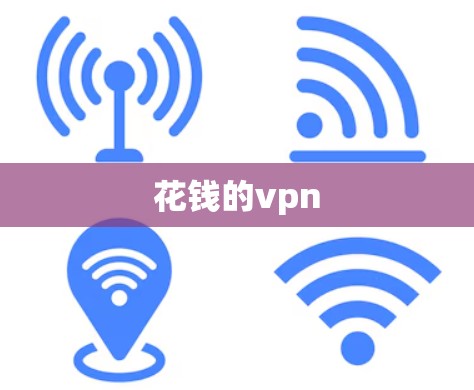 花钱的vpn 花钱的vpn
