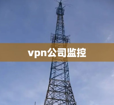 vpn公司监控 vpn公司监控