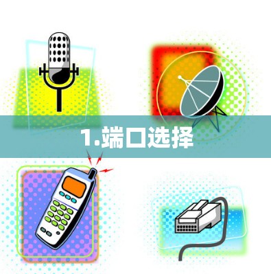 1.端口选择 1.端口选择