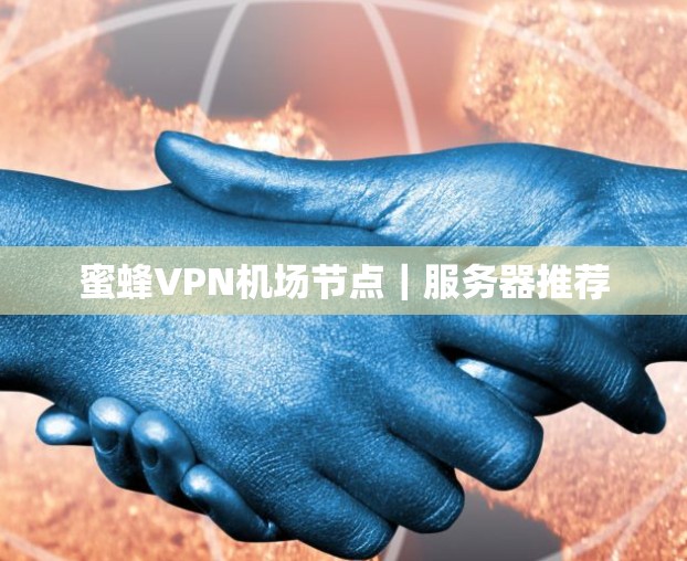 蜜蜂VPN机场节点|服务器推荐 蜜蜂VPN机场节点|服务器推荐