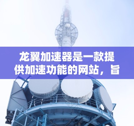 龙翼加速器是一款提供加速功能的网站，旨在帮助玩家更快地访问和下载游戏。以下是对龙翼加速器的详细介绍