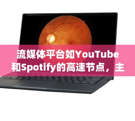 流媒体平台如YouTube和Spotify的高速节点，主要由服务器和网络系统组成，负责处理用户流媒体请求并提供流畅的体验。以下是对这些节点的详细分析